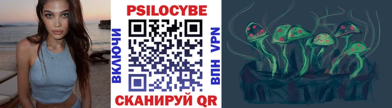 Галлюциногенные грибы Cubensis  купить наркотики сайты  ОМГ ОМГ ТОР  Таштагол 